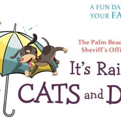 Cats and Dogs 2018