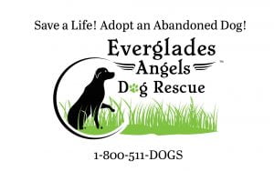 Everglades Angels Dog Rescue