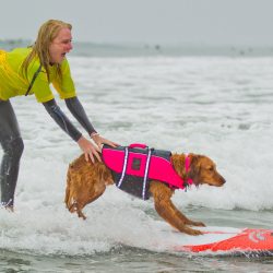 Surfing service dog