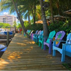 salty dog paddle jupiter