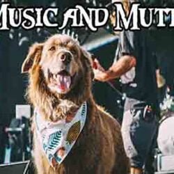 Music and Mutts